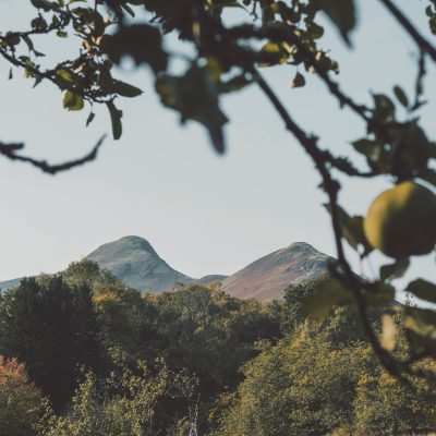  A fruitful partnership